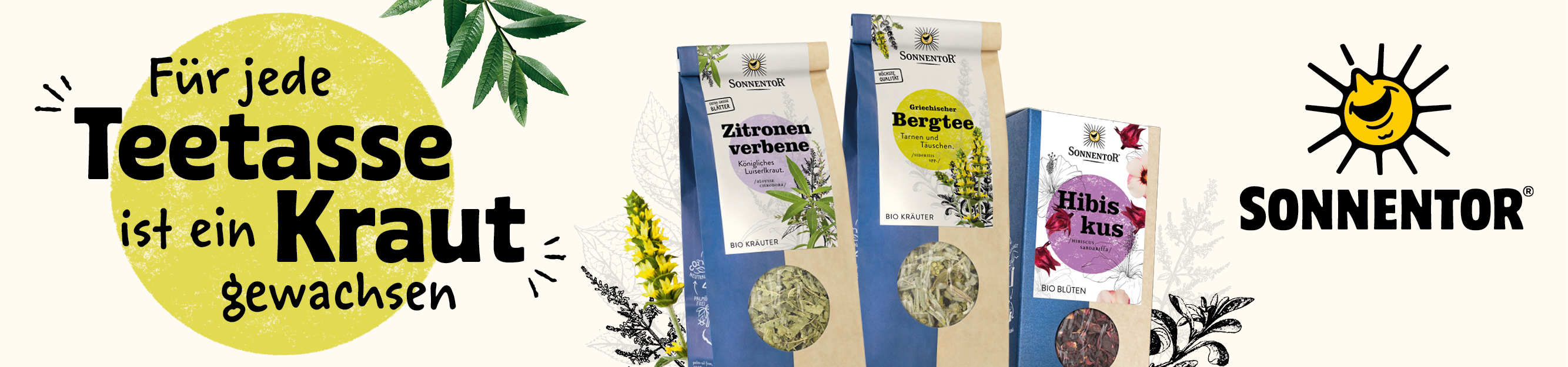 SuperSonnentorNovemberDE