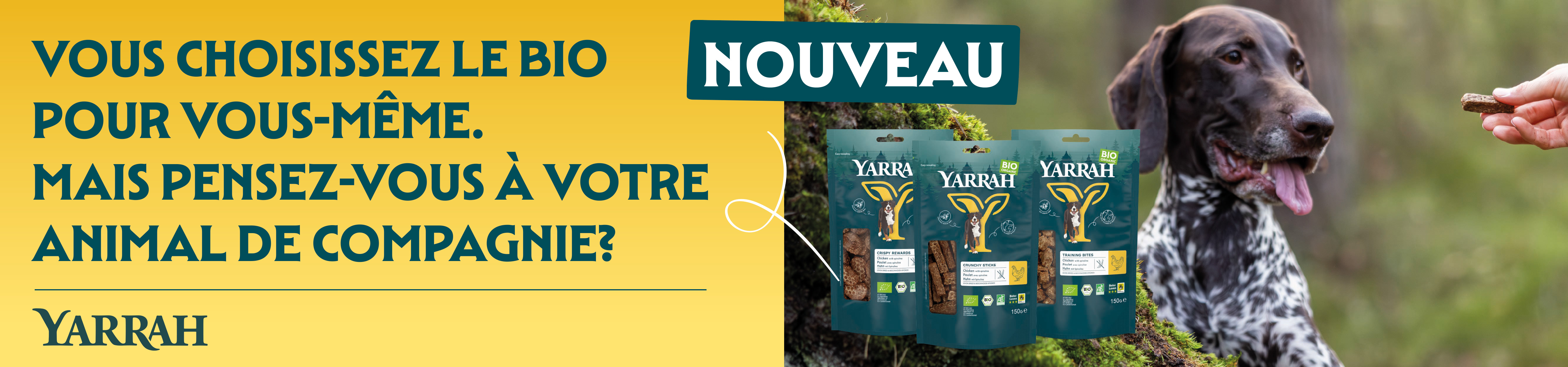 SuperYarrahSeptemberFR